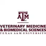 TexasAandMVetUniversity